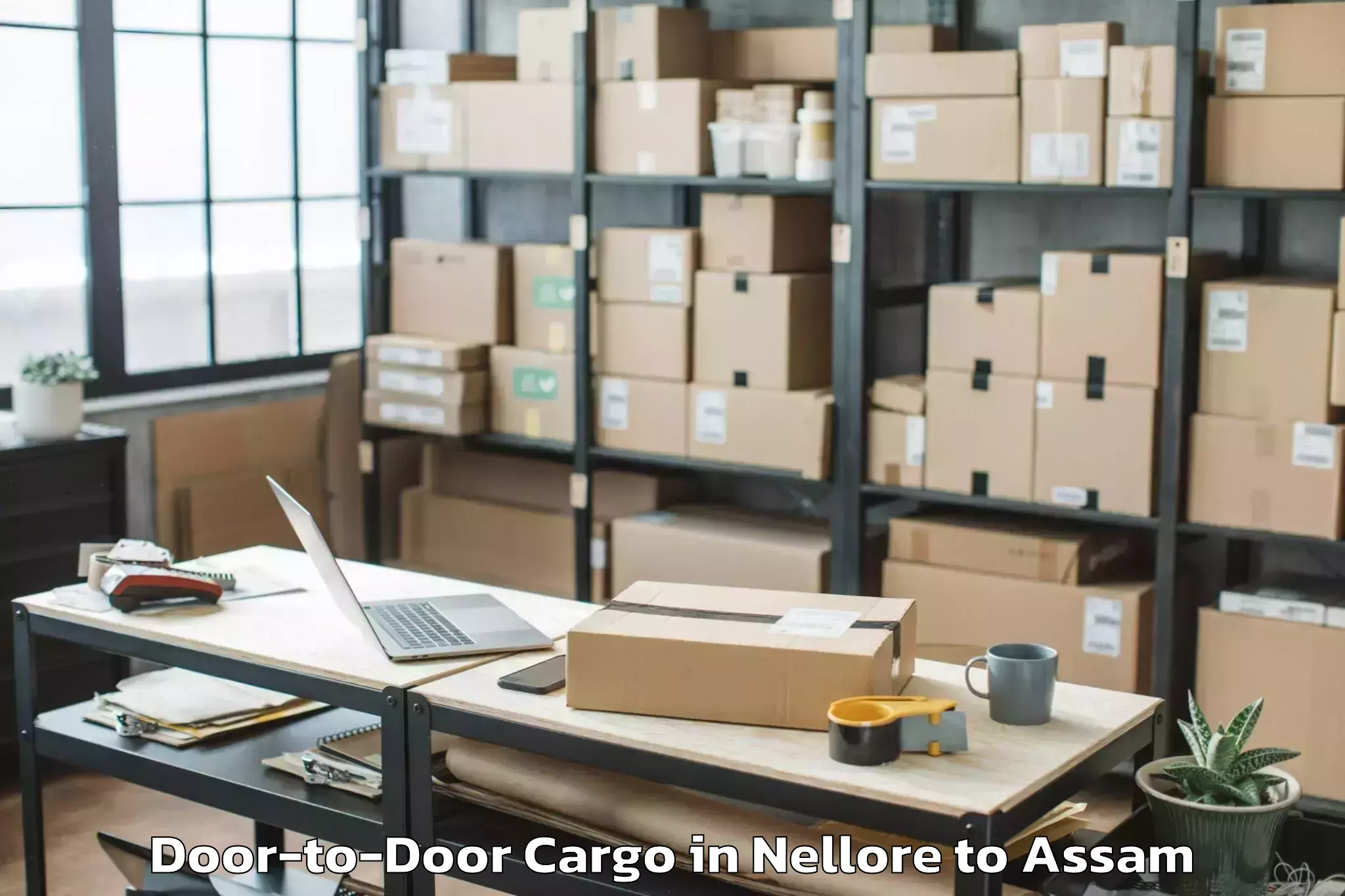 Top Nellore to Mayong Door To Door Cargo Available